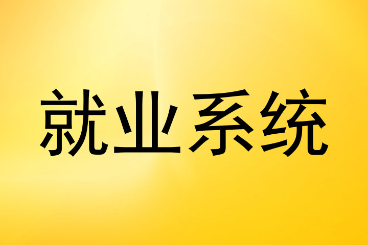 就业系统