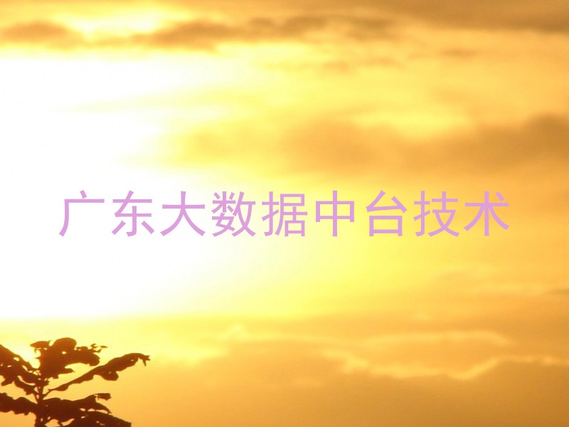 广东大数据中台技术