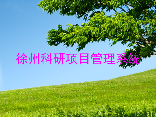 徐州科研项目管理系统