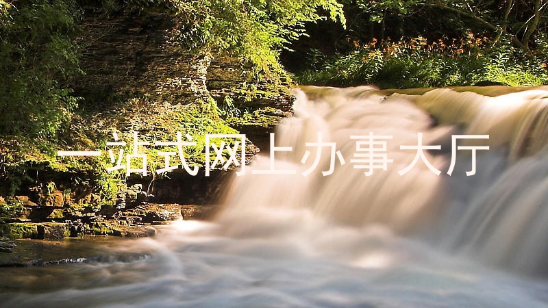 一站式网上办事大厅