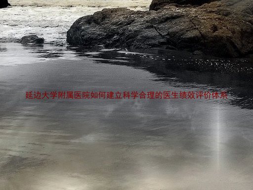 延边大学附属医院如何建立科学合理的医生绩效评价体系
