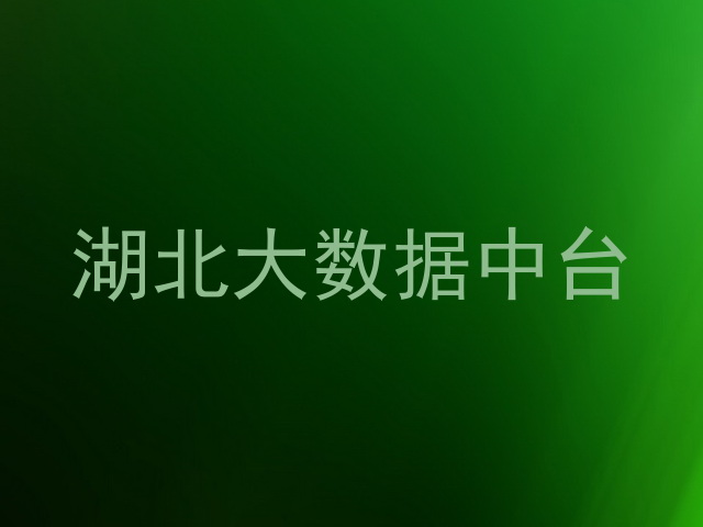 湖北大数据中台