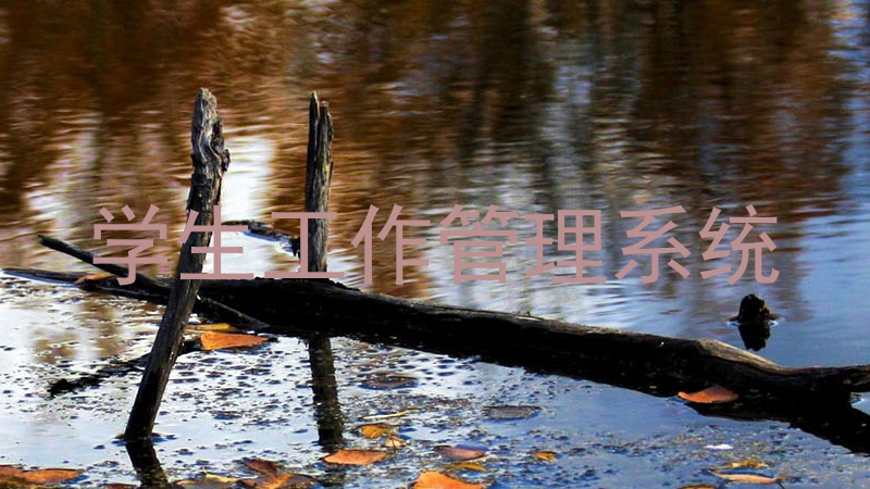 学生工作管理系统