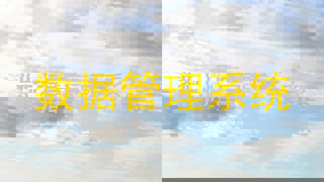 数据管理系统