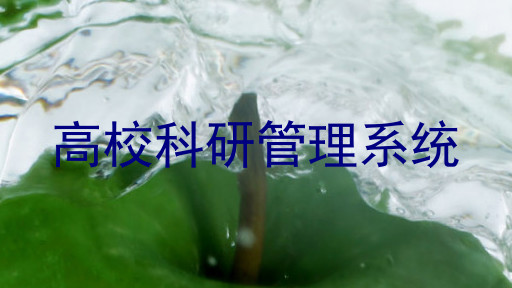 高校科研管理系统