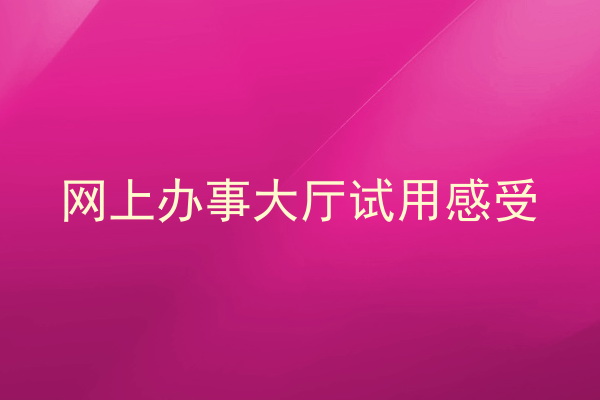 网上办事大厅试用感受
