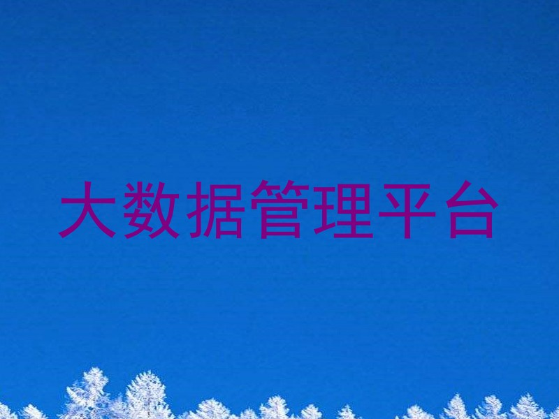 大数据管理平台