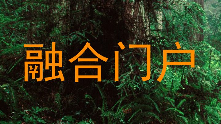 融合门户