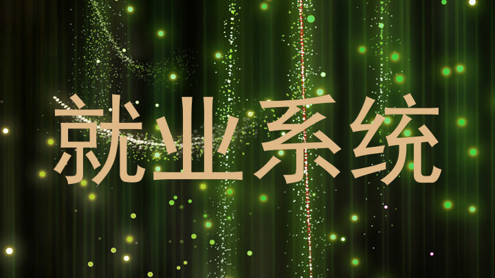 就业系统