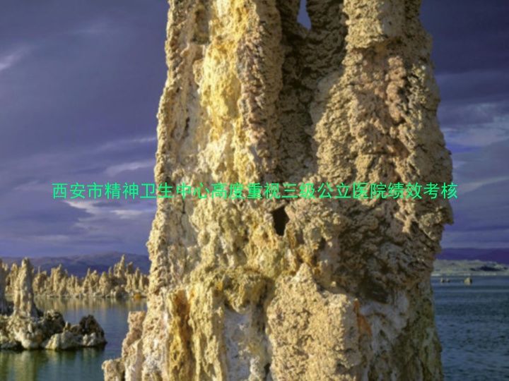 西安市精神卫生中心高度重视三级公立医院绩效考核