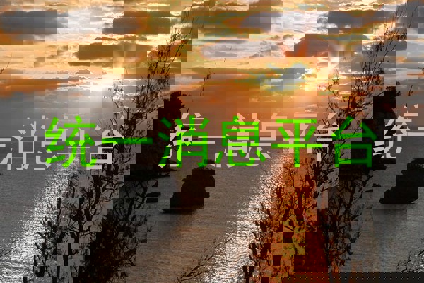 统一消息平台