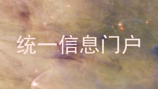 统一信息门户