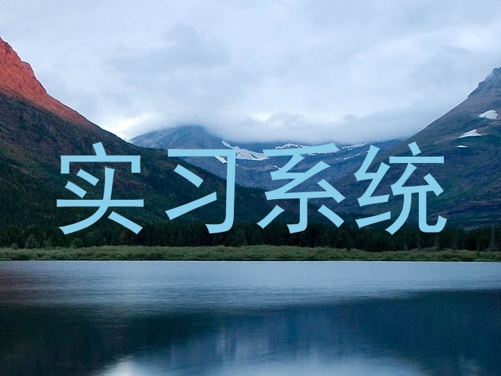 实习系统