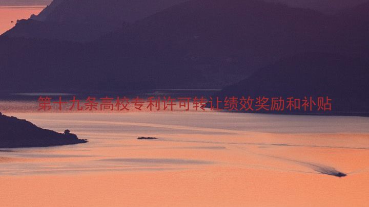 第十九条高校专利许可转让绩效奖励和补贴
