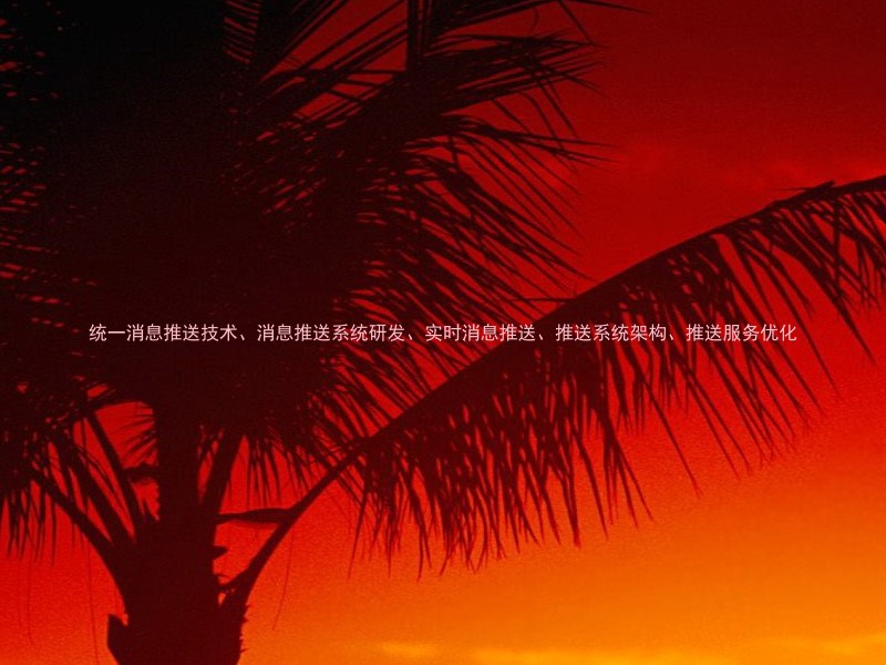 统一消息推送技术、消息推送系统研发、实时消息推送、推送系统架构、推送服务优化