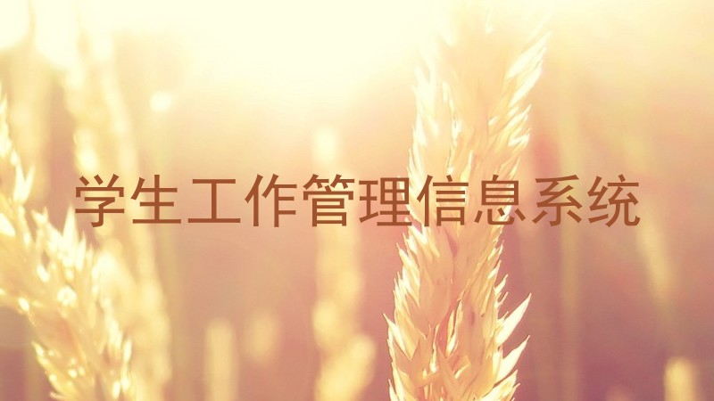 学生工作管理信息系统