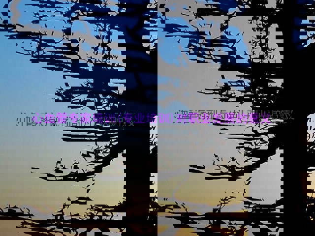 心血管专家培训(专业培训)对职业发展的意义
