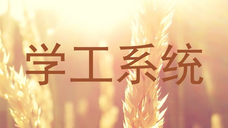 学工系统