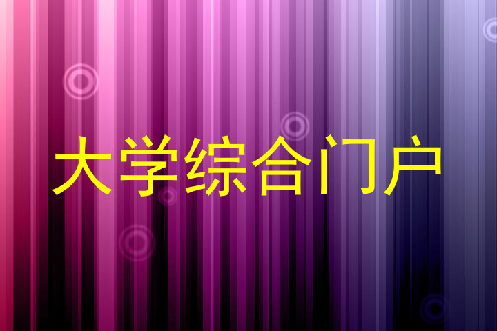 大学综合门户
