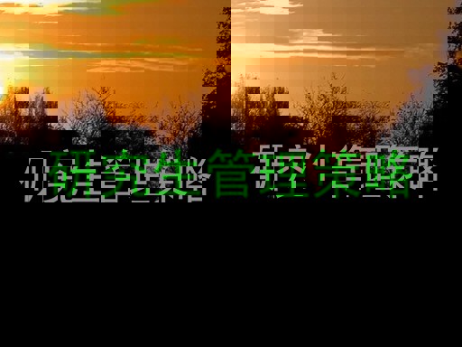 研究生管理策略