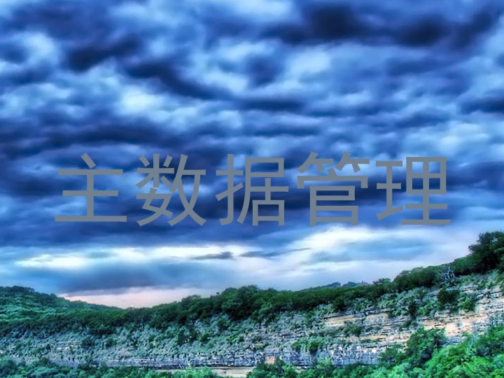 主数据管理