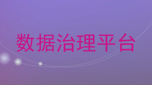 数据治理平台