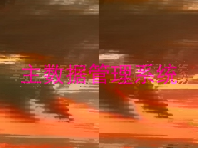 主数据管理系统