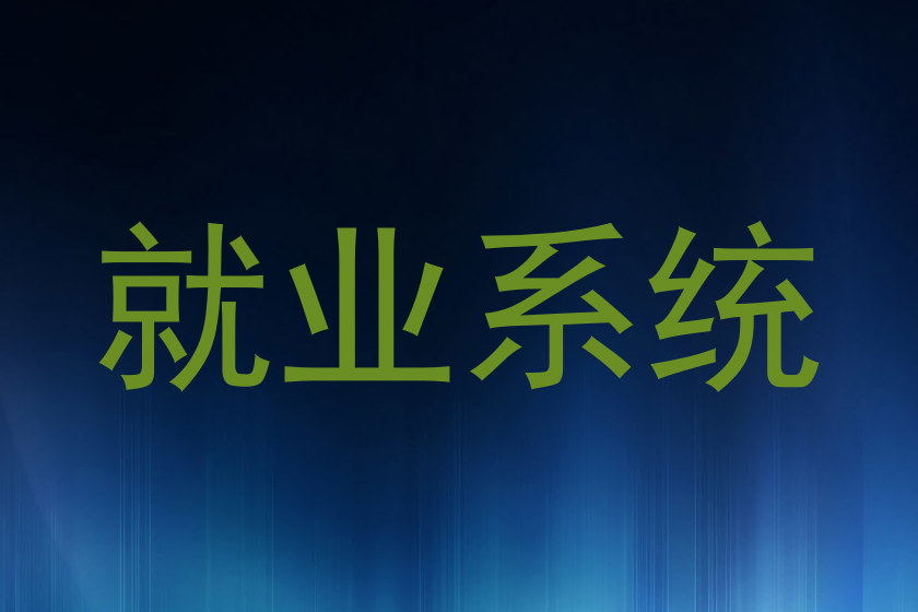 就业系统
