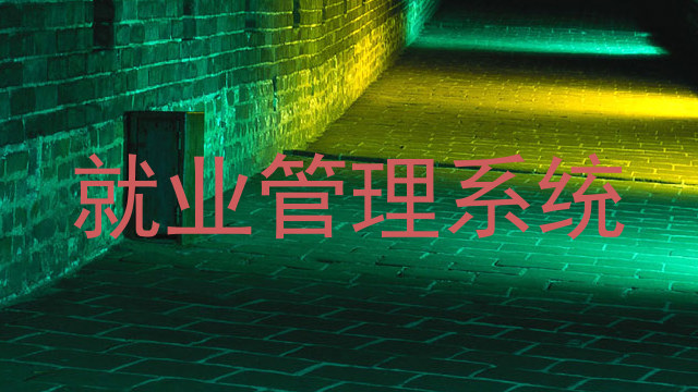 就业管理系统