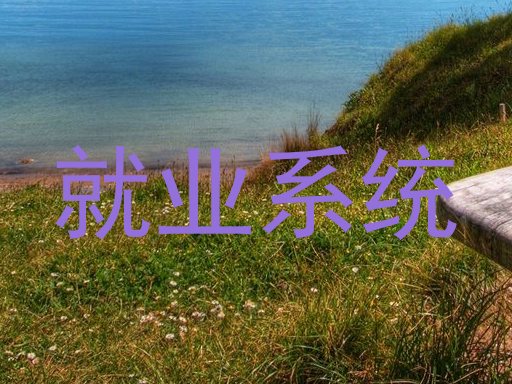 就业系统