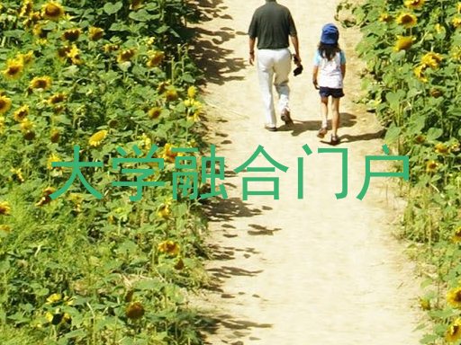 大學(xué)融合門戶