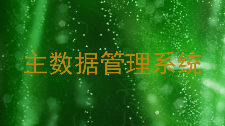 主数据管理系统