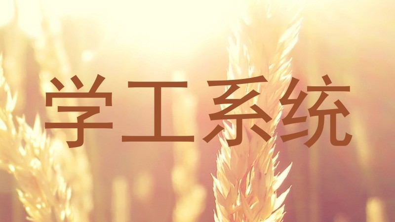 学工系统