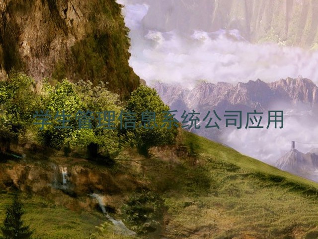 学生管理信息系统公司应用