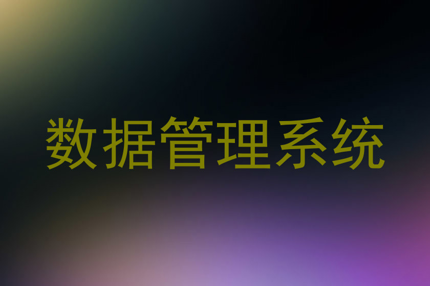 数据管理系统