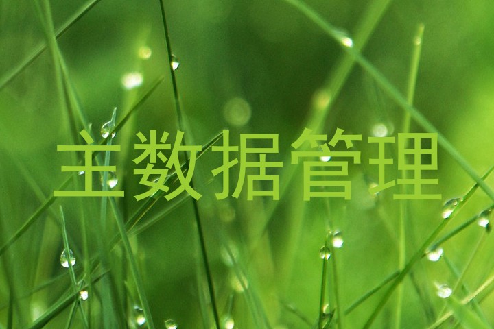 主数据管理