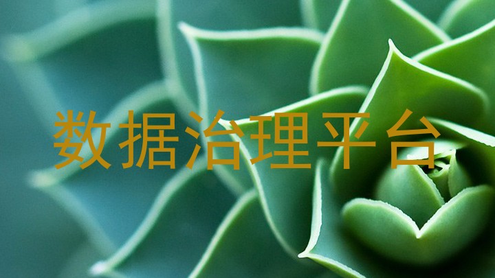 数据治理平台