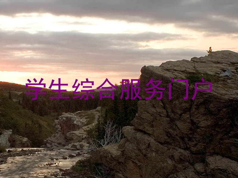 学生综合服务门户
