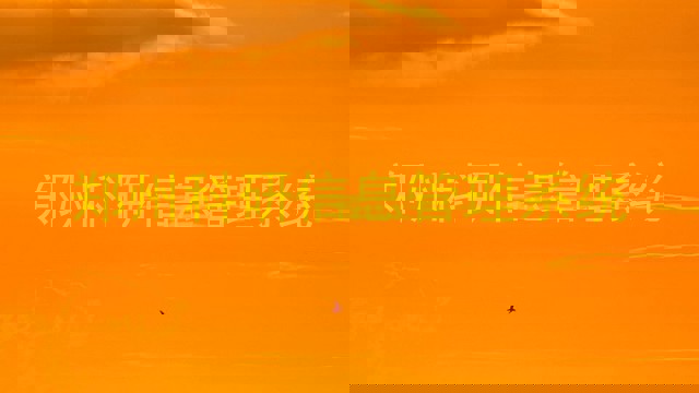 郑州科研信息管理系统