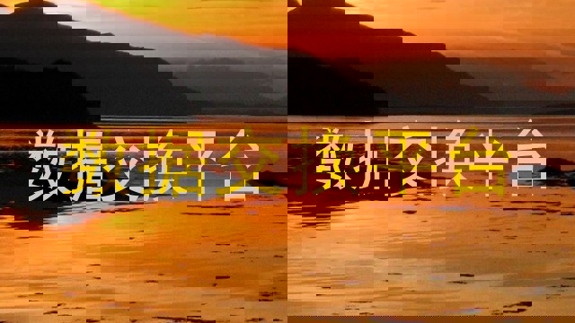 数据交换平台