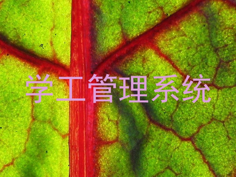 学工管理系统