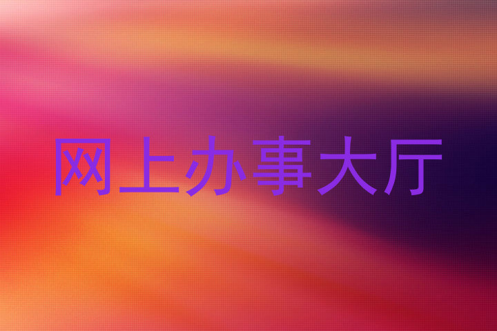 网上办事大厅