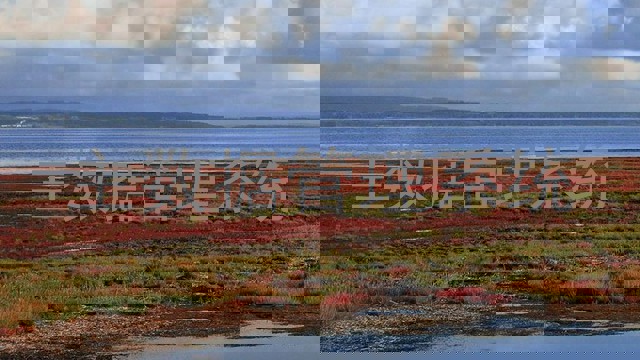 主数据管理系统