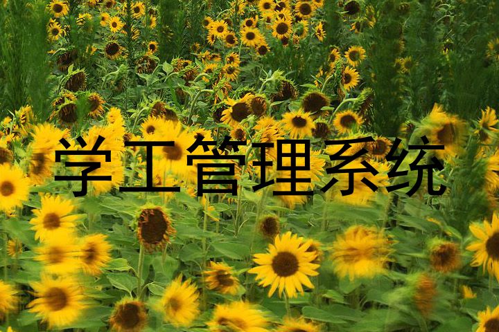 学工管理系统