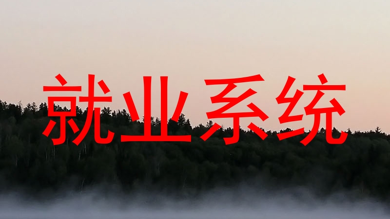 就业系统