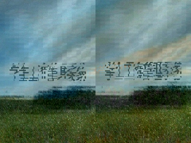 学生工作管理系统