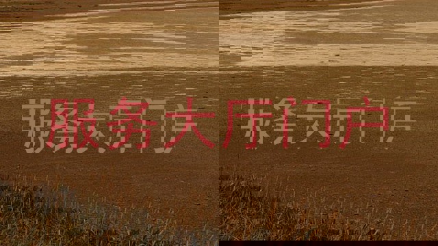 服务大厅门户