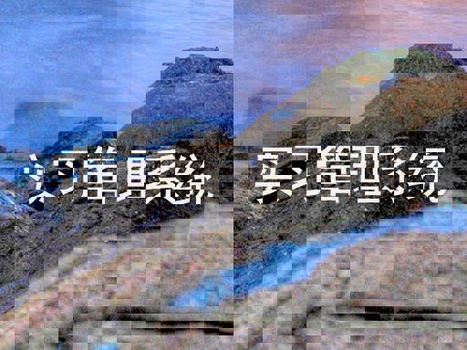实习管理系统