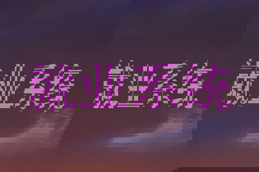 就业系统