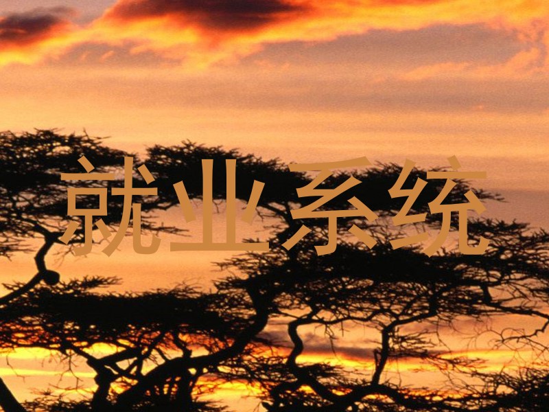 就业系统